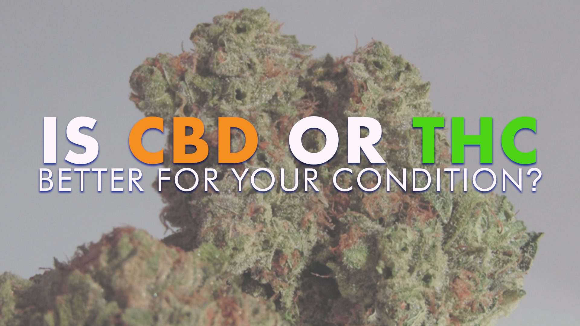 Is CBD or THC Better for Your Condition?