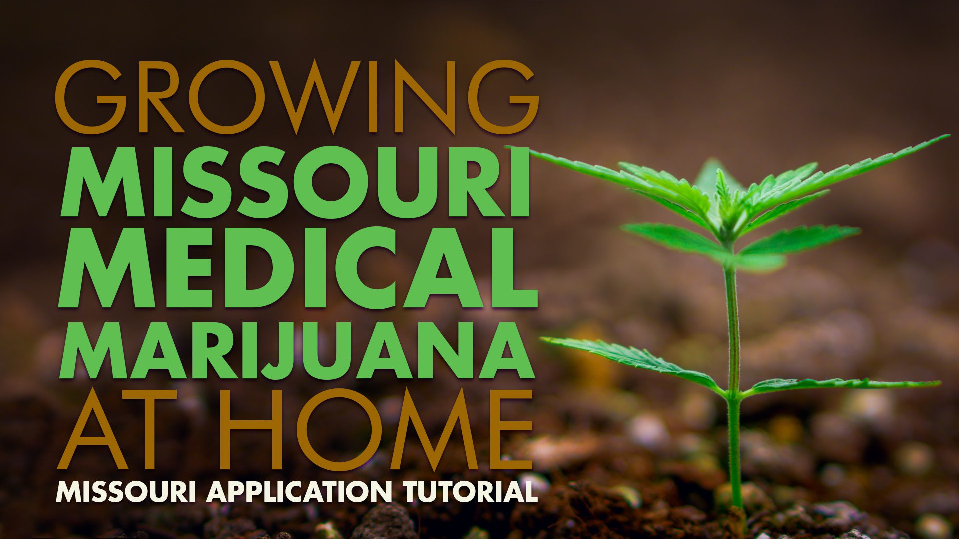 Growing Missouri Medical Marijuana At Home