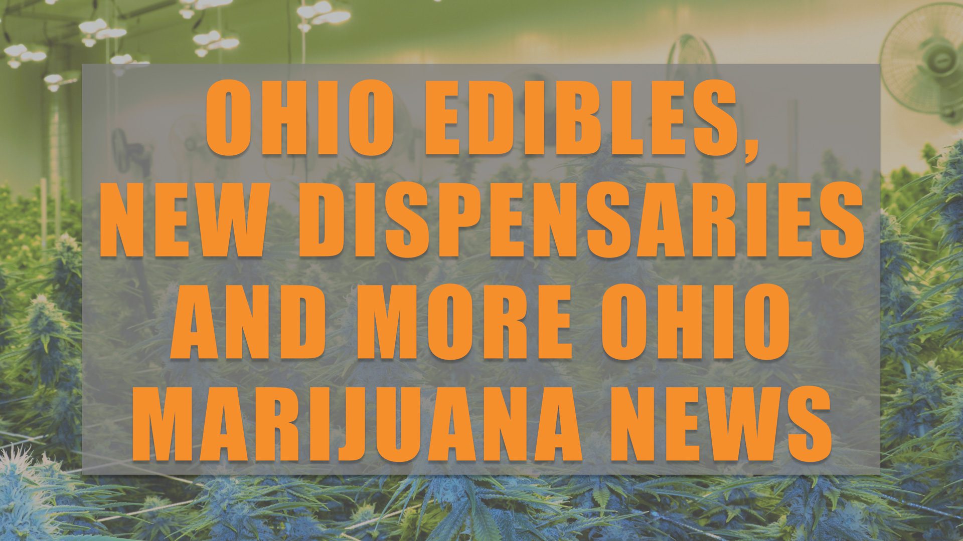 Ohio Marijuana News: Edibles, Patient Numbers & A New Dispensary!