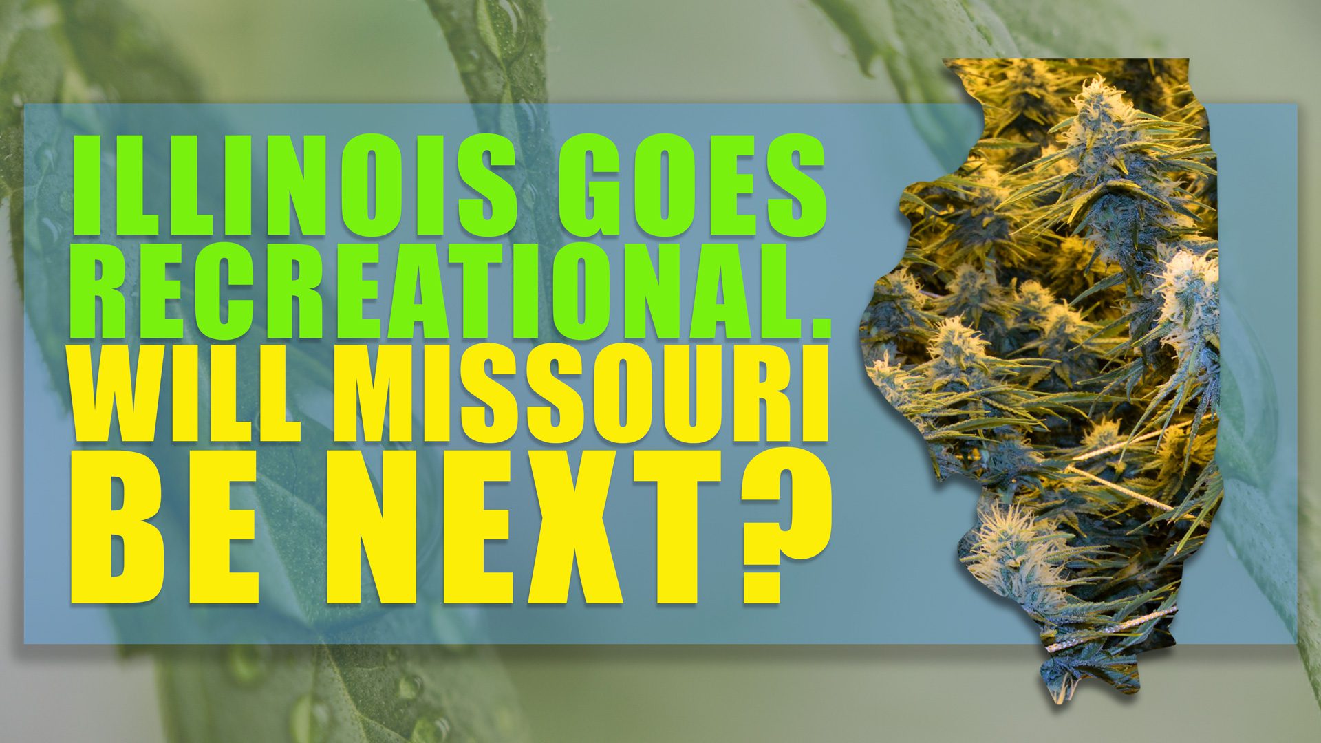 Illinois Goes Recreational! Could Missouri Be Next?