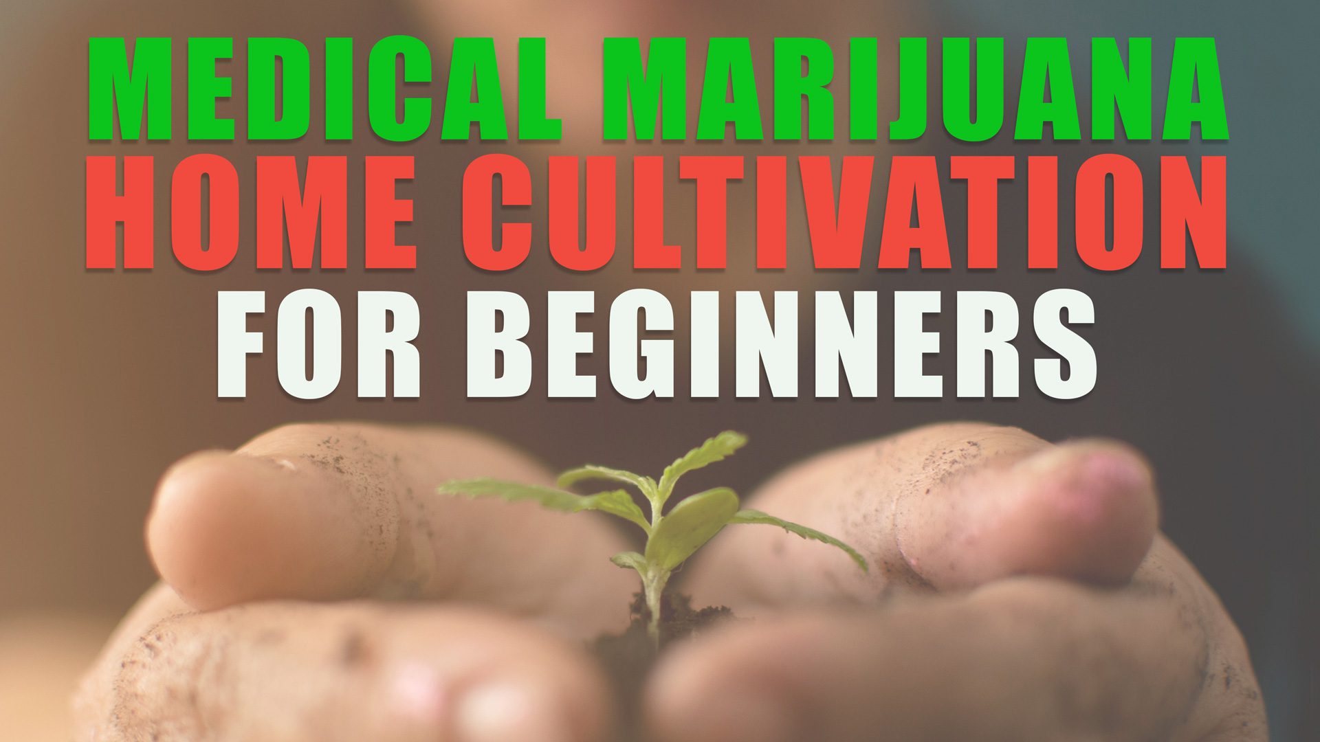 Growing Cannabis: Medical Marijuana Home Cultivation For Beginners