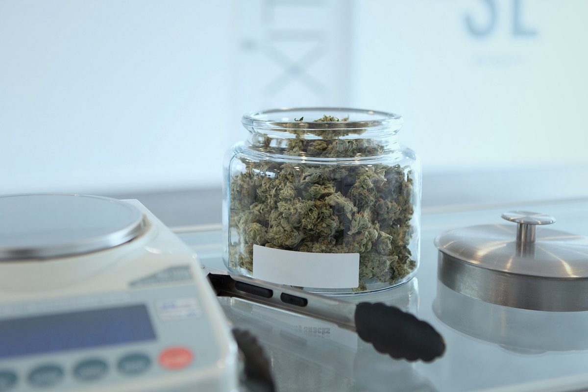 Medical Cannabis Strains and Their Uses by Condition