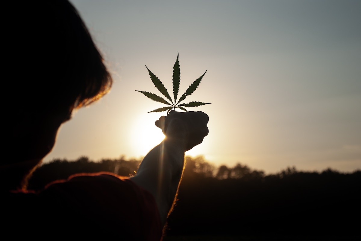 Is Weed Legal in Arizona? Plus AZ Weed Laws & Arizona Marijuana Legalization Efforts in 2023