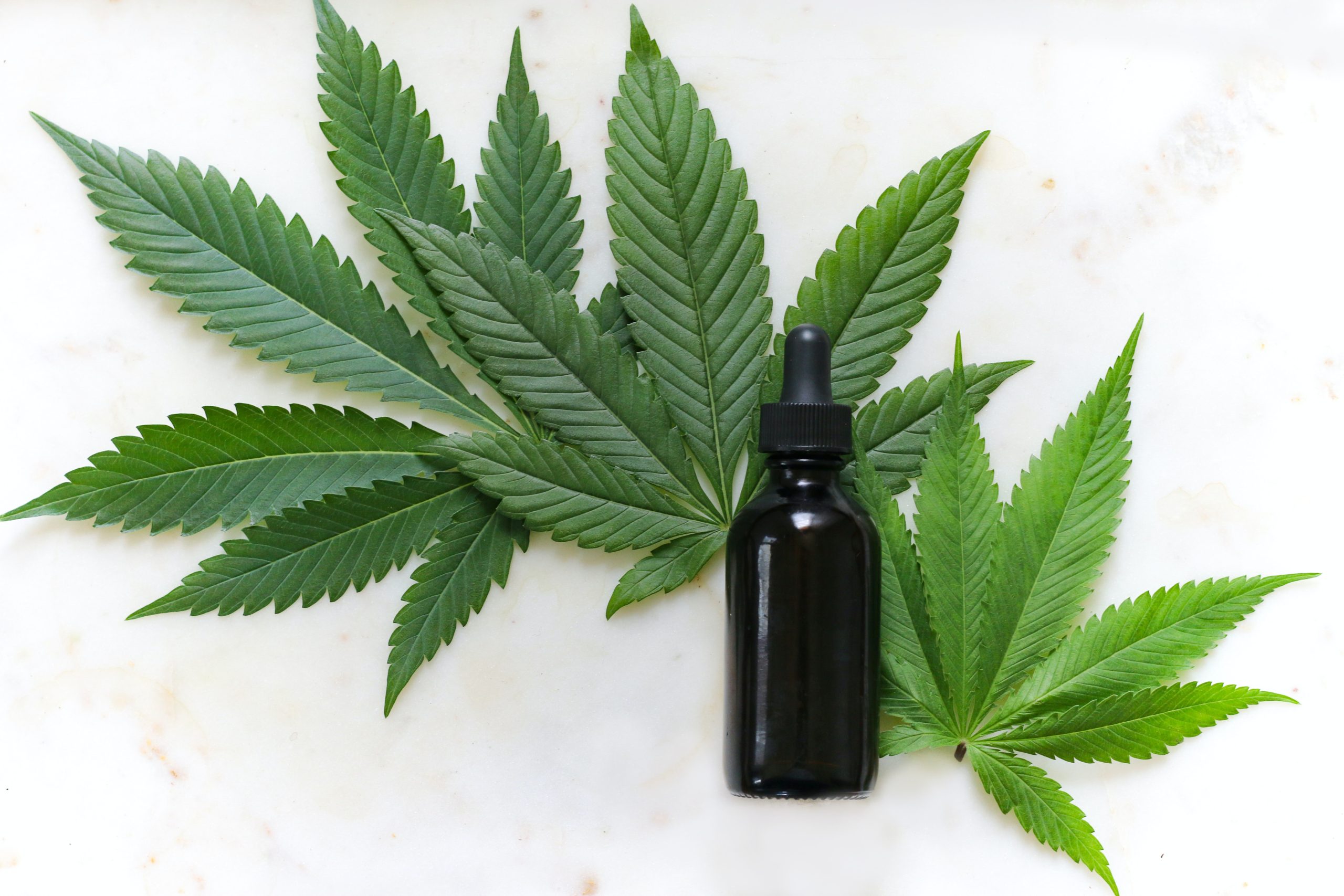 What is CBDA, and What are the Differences Between CBDA vs. CBD?